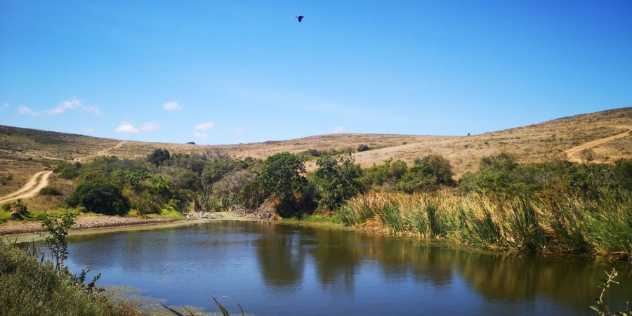 4 Bedroom Property for Sale in Outeniquasbosch Western Cape